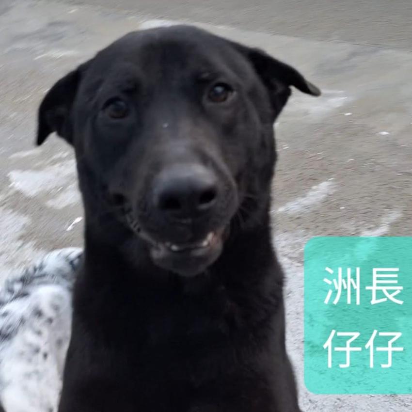 洲長